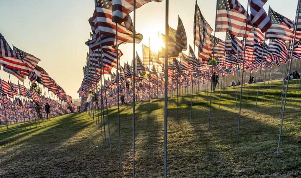 Many US American flags flying, waving on green field