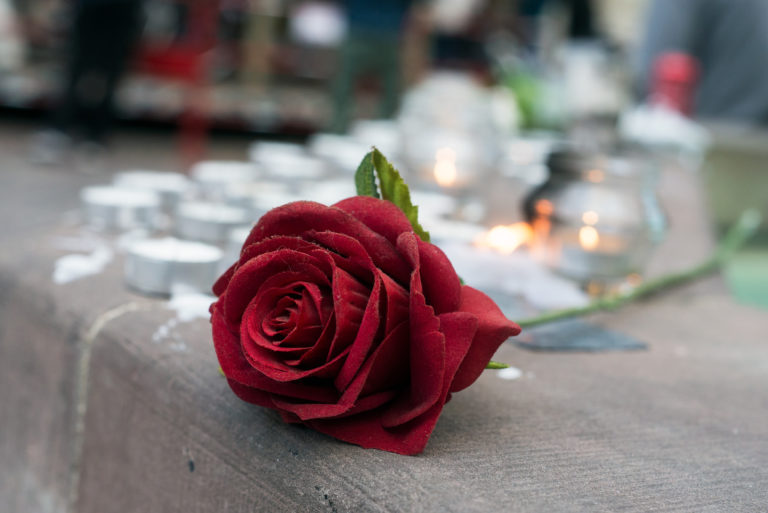 closeup of red rose and candles in the street in memory of the   professor of history Samuel Paty murdered by an islamist in the street