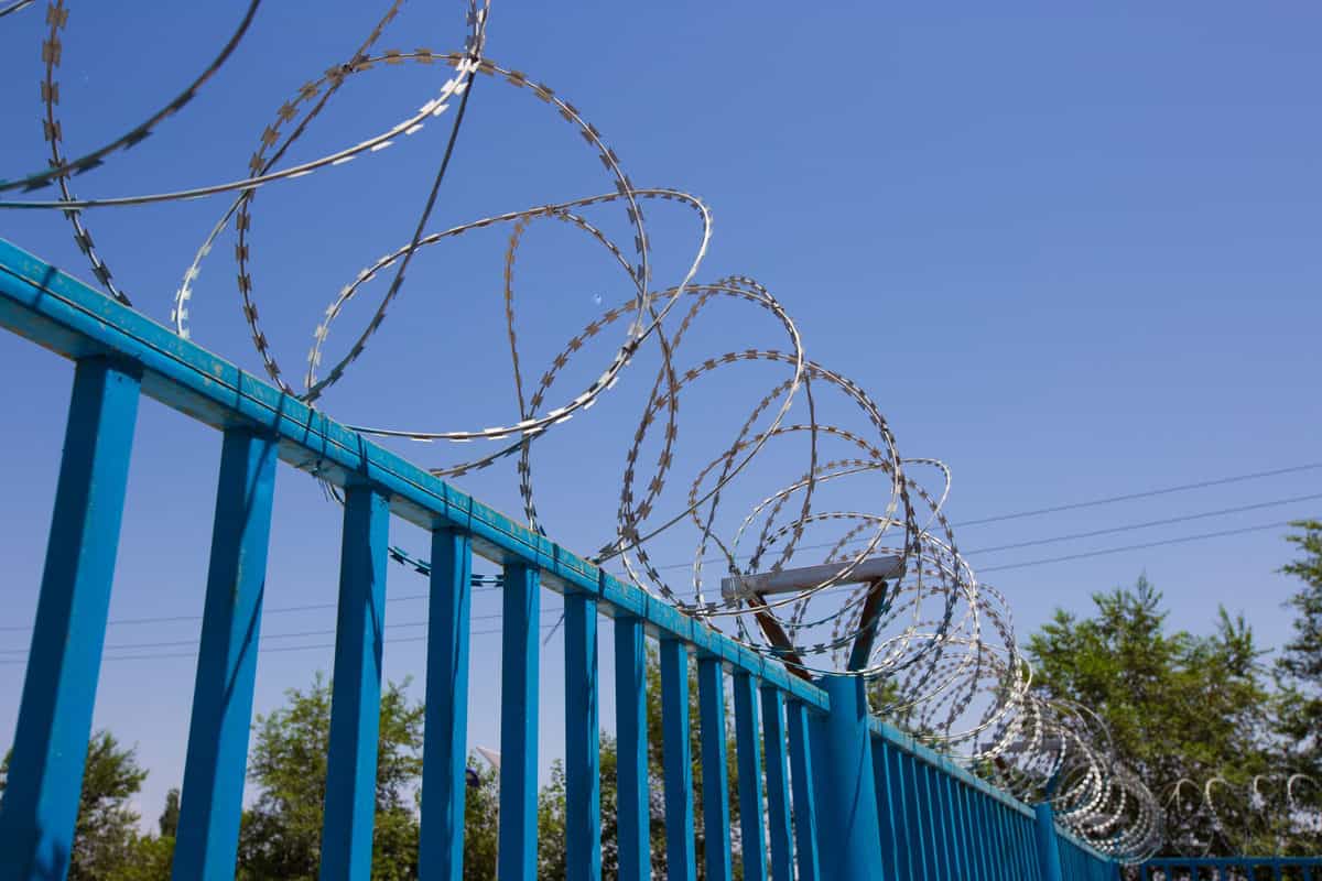 Blue Fence made of wire with spikes on top