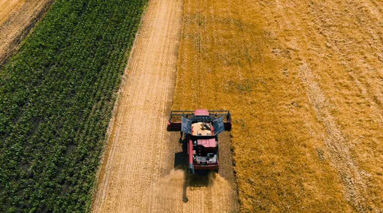 AdobeStock_442803302