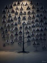 thumbnail_image-54 (1)